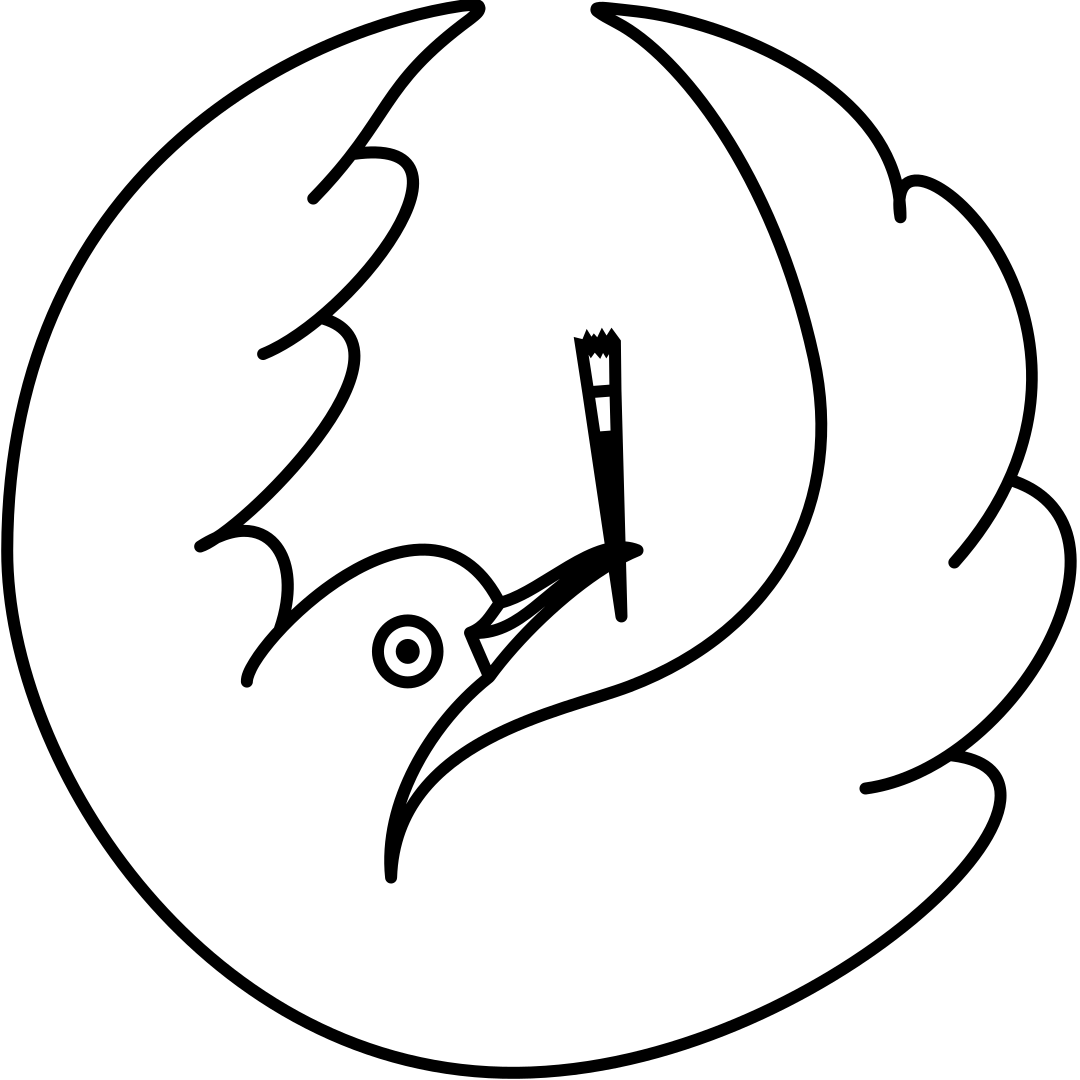 Sel Awi Logo