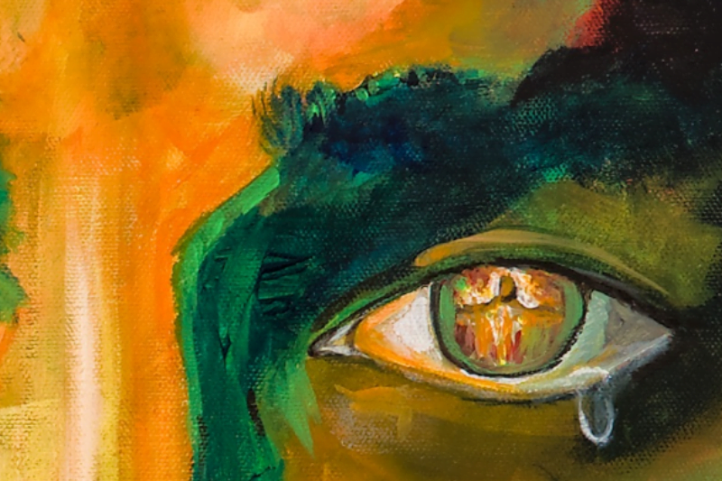 Linkes Auge